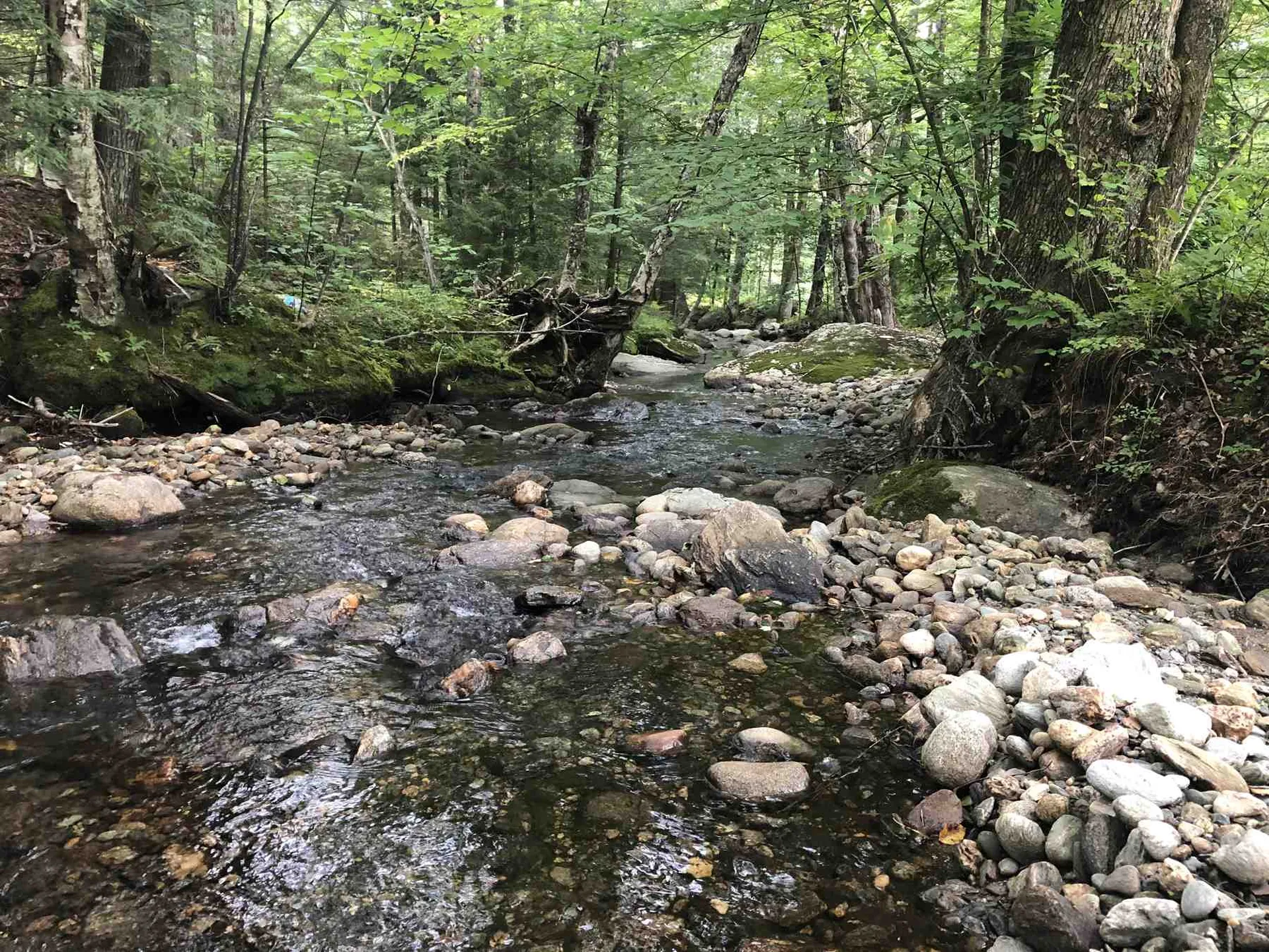 182 Manlin Road Fayston VT 05673
