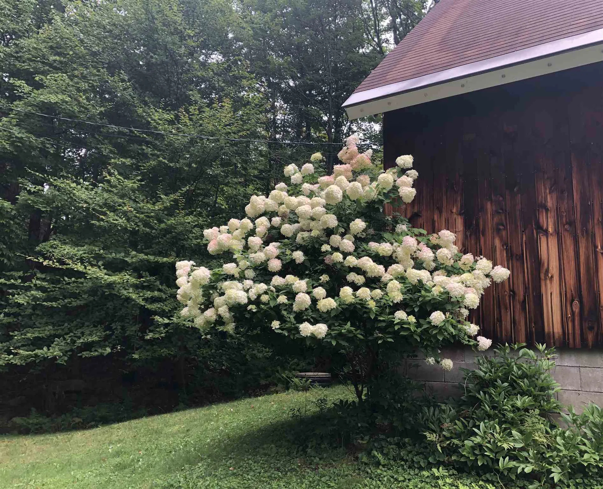 182 Manlin Road Fayston VT 05673