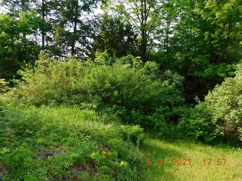 59 White Street Springfield VT 05156