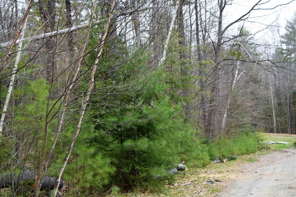 L 117 Conway Lane Haverhill NH 03765