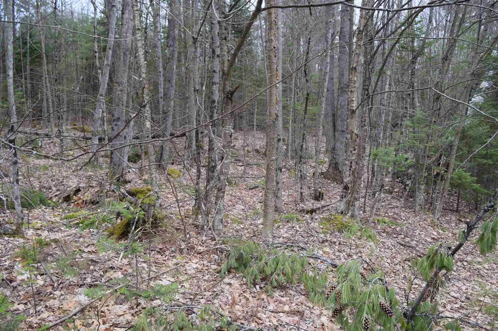 L 117 Conway Lane Haverhill NH 03765