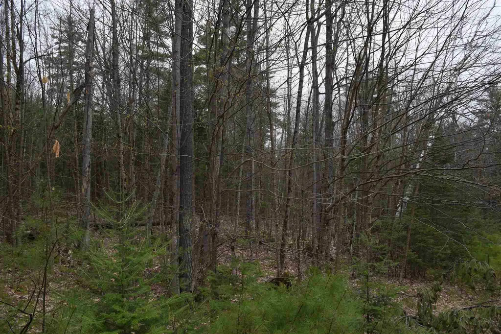 L 117 Conway Lane Haverhill NH 03765