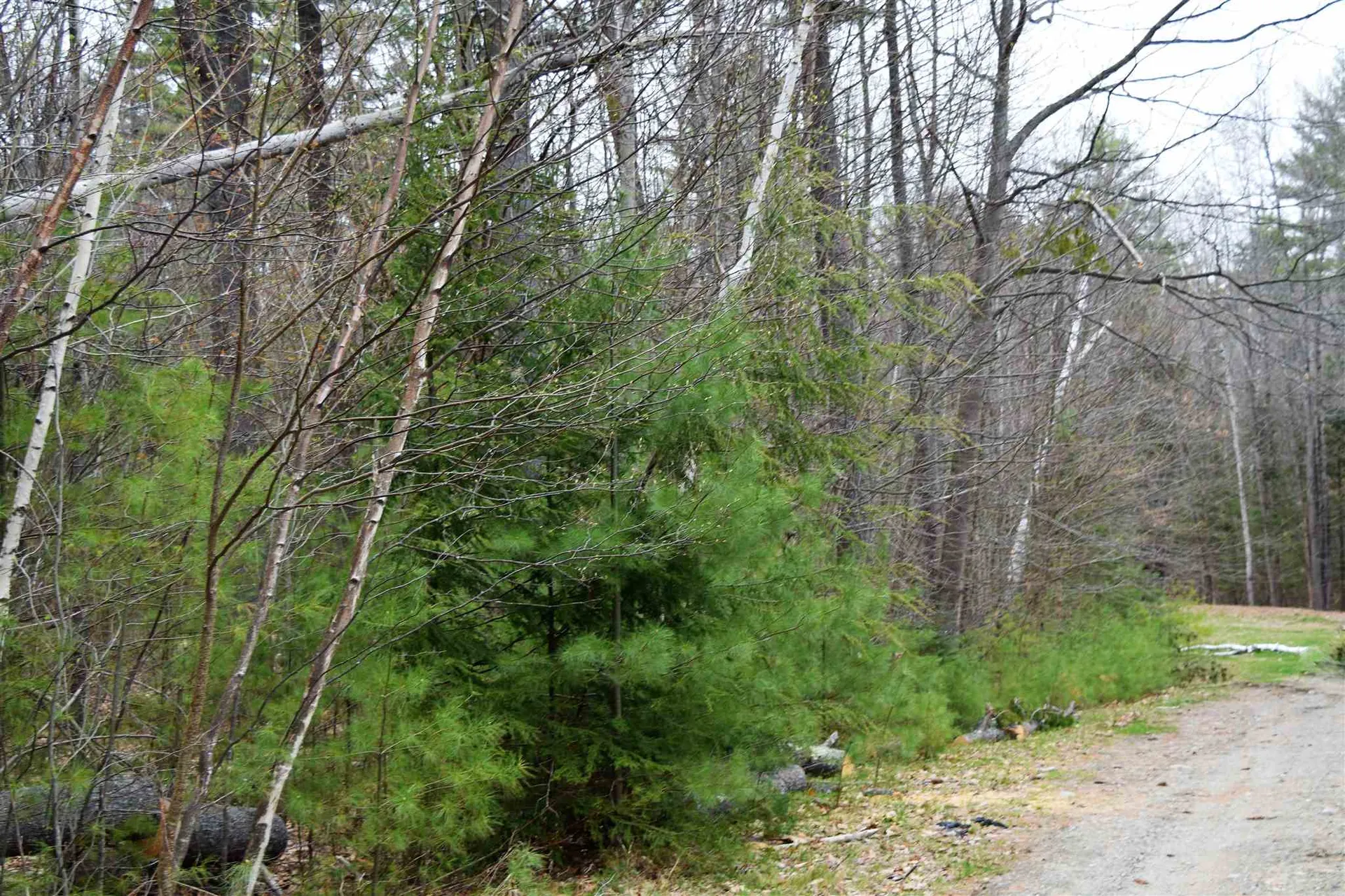 L 117 Conway Lane Haverhill NH 03765