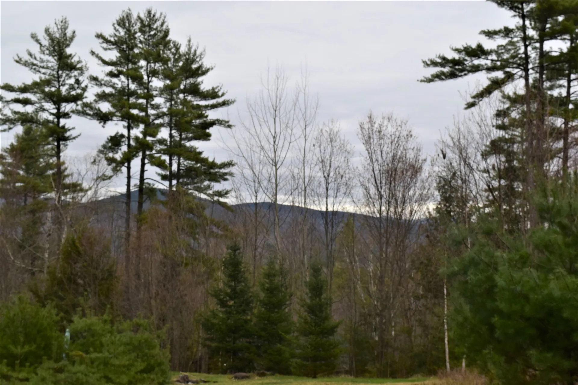 L 117 Conway Lane Haverhill NH 03765