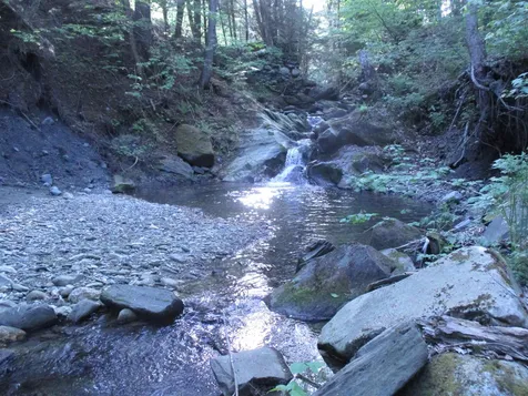134 Rainbow Drive Randolph VT 05060