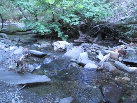 134 Rainbow Drive Randolph VT 05060