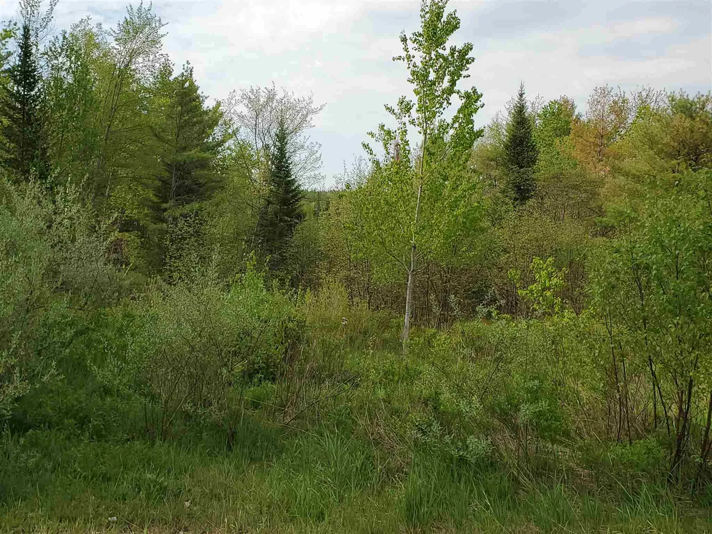 Lot G & H Talbert Hill Road Canaan NH 03741