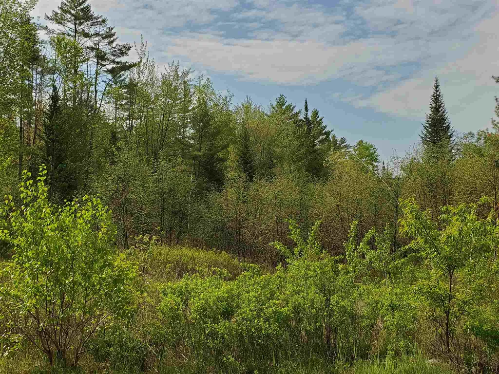 Lot G & H Talbert Hill Road Canaan NH 03741