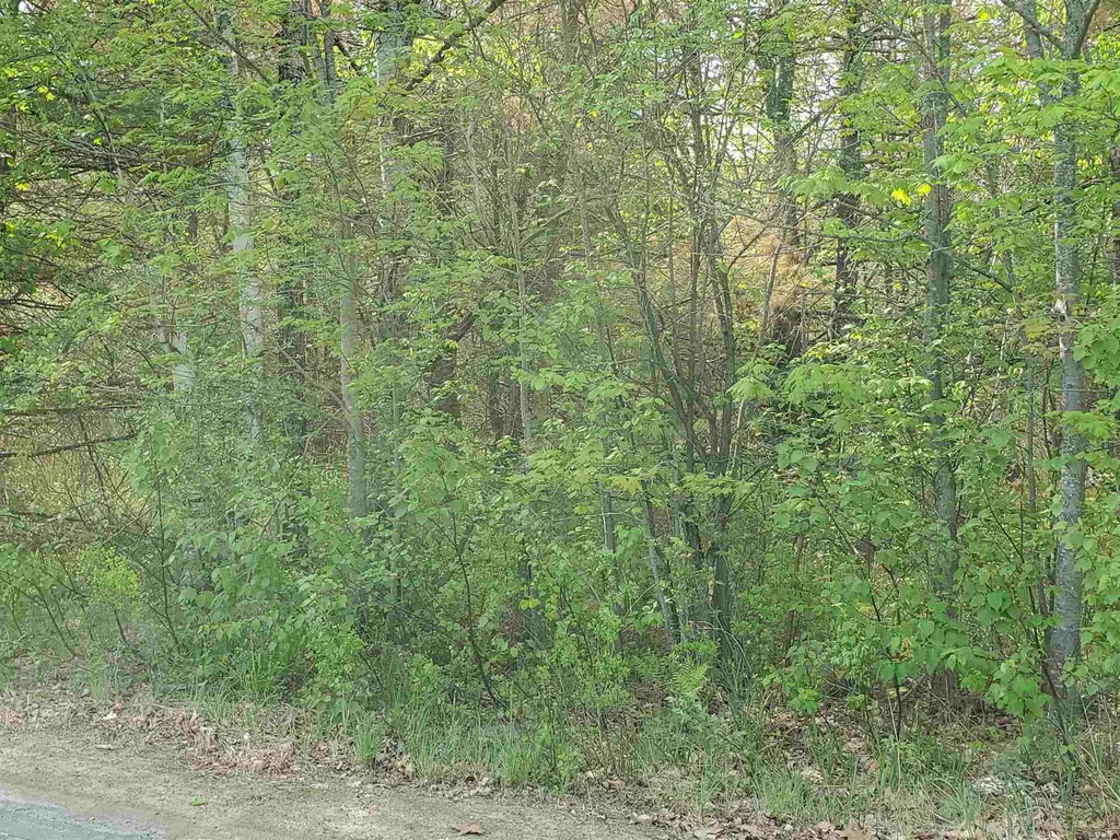 Lot G & H Talbert Hill Road Canaan NH 03741