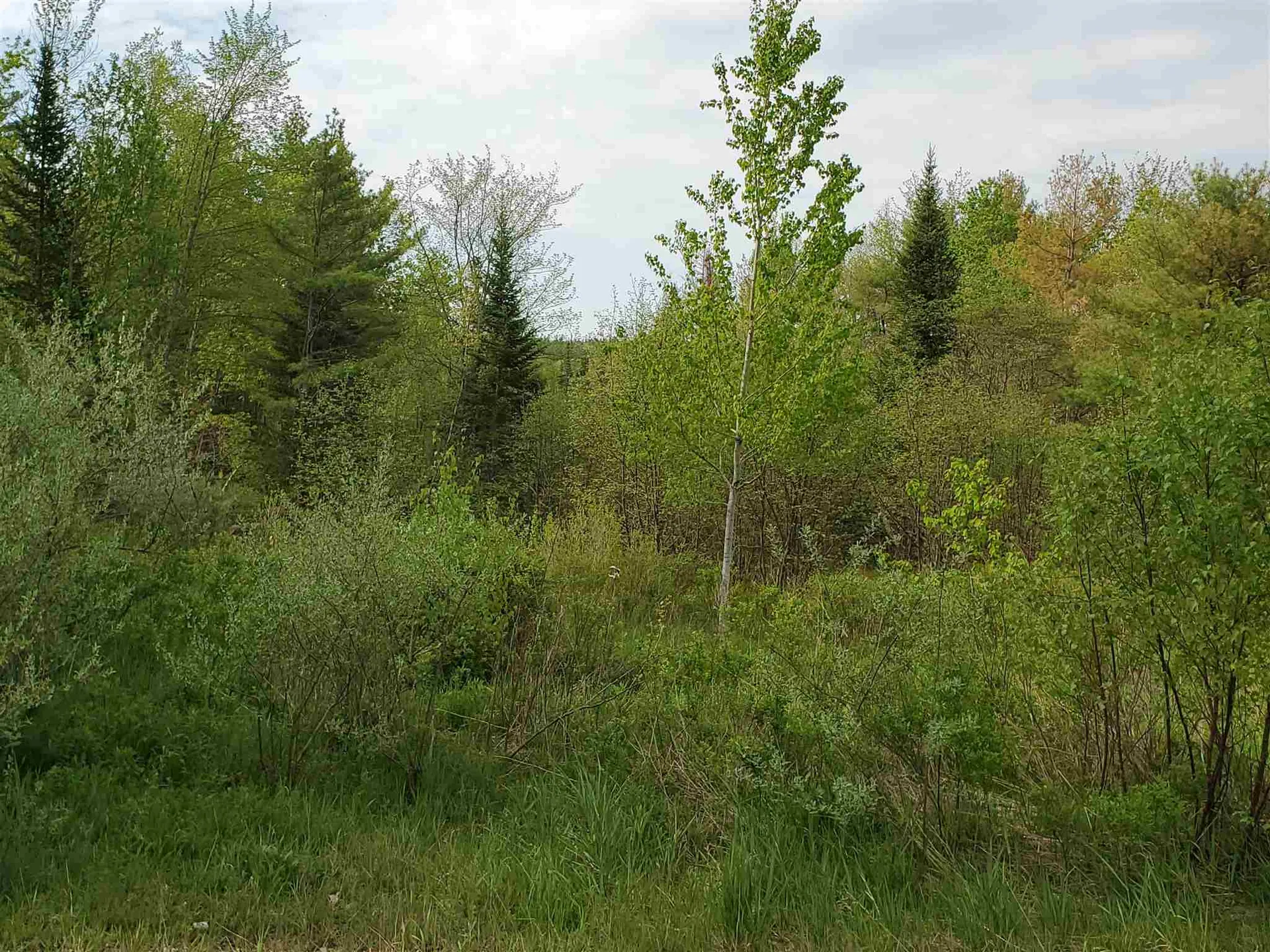 Lot G & H Talbert Hill Road Canaan NH 03741