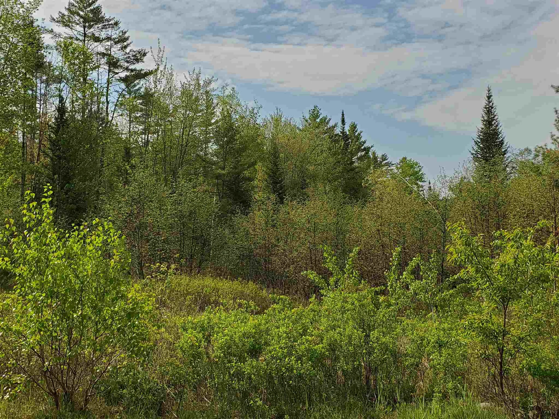 Lot G & H Talbert Hill Road Canaan NH 03741