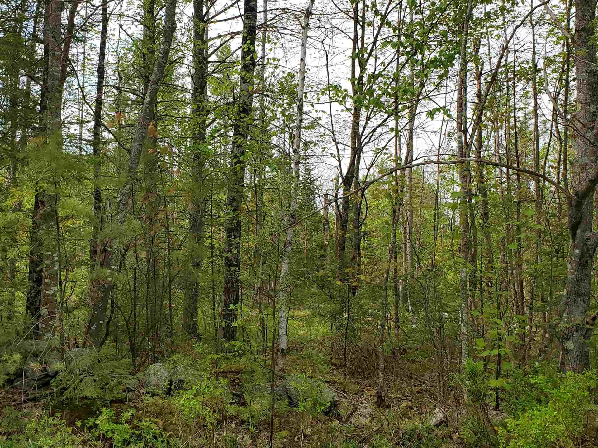 Lot G & H Talbert Hill Road Canaan NH 03741