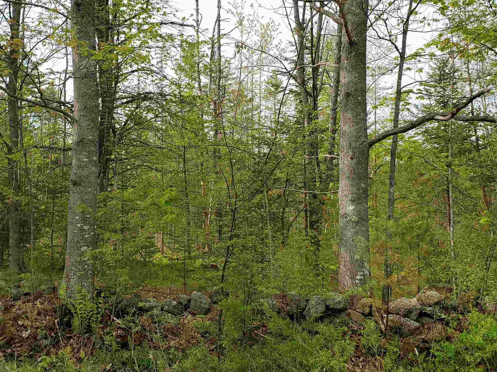 Lot G & H Talbert Hill Road Canaan NH 03741