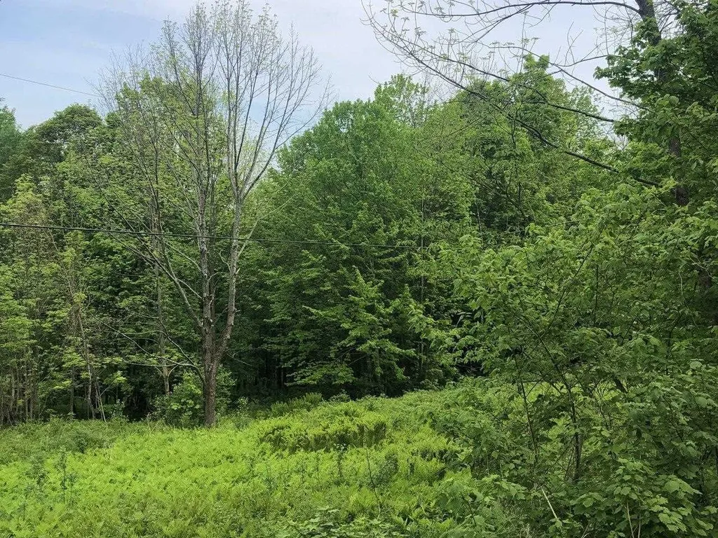 Lot 1 Mason Hill North Starksboro VT 05487