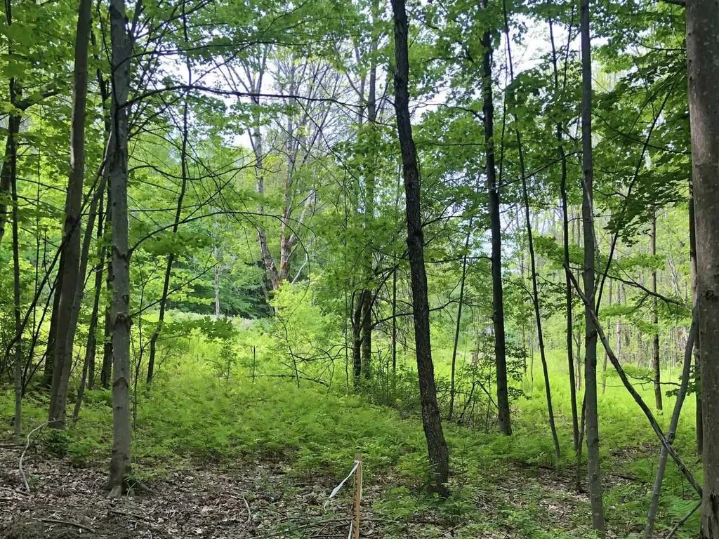 Lot 1 Mason Hill North Starksboro VT 05487