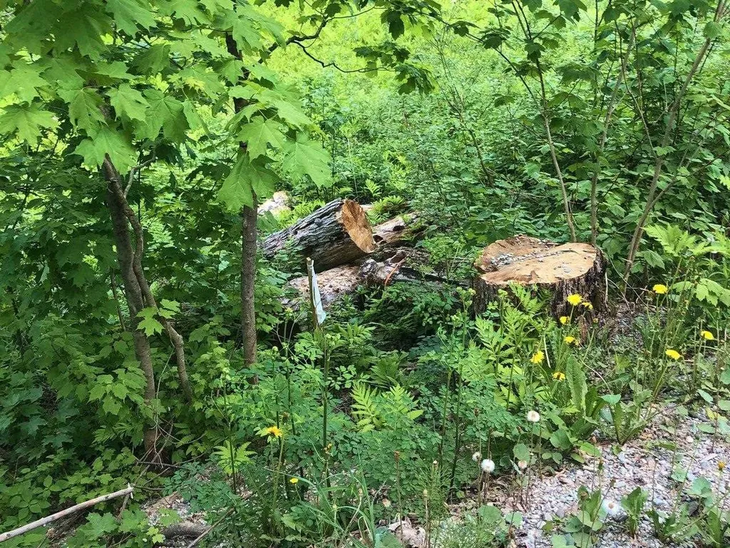 Lot 1 Mason Hill North Starksboro VT 05487