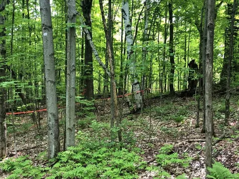 Lot 1 Mason Hill North Starksboro VT 05487