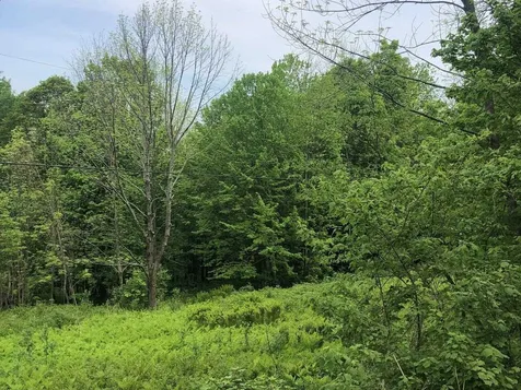 Lot 1 Mason Hill North Starksboro VT 05487