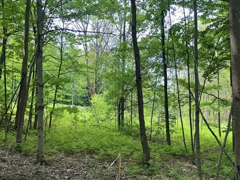 Lot 1 Mason Hill North Starksboro VT 05487