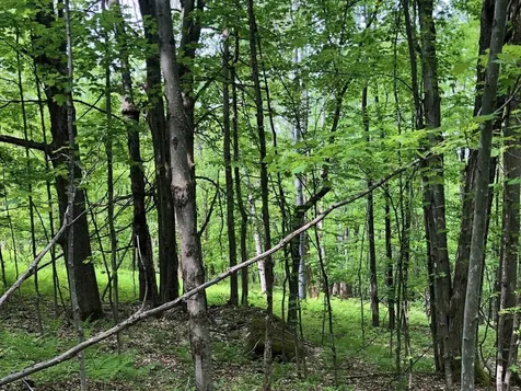 Lot 1 Mason Hill North Starksboro VT 05487