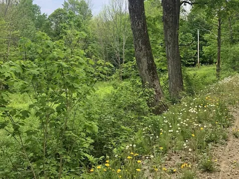 Lot 1 Mason Hill North Starksboro VT 05487