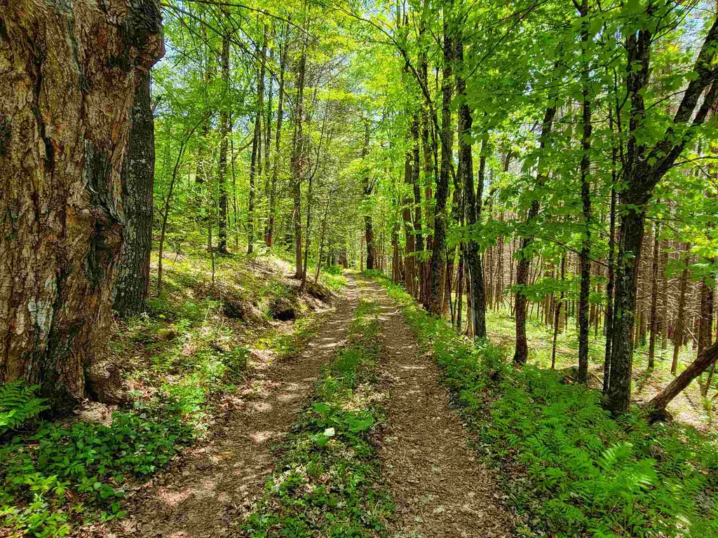 12 Creamery Road Chelsea VT 05038