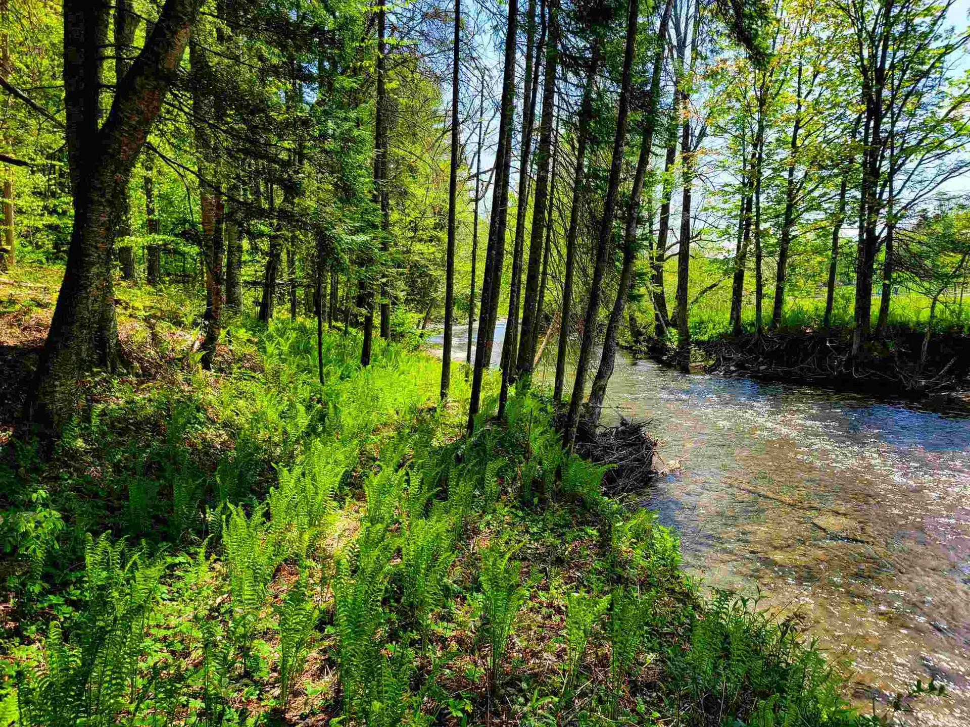 12 Creamery Road Chelsea VT 05038