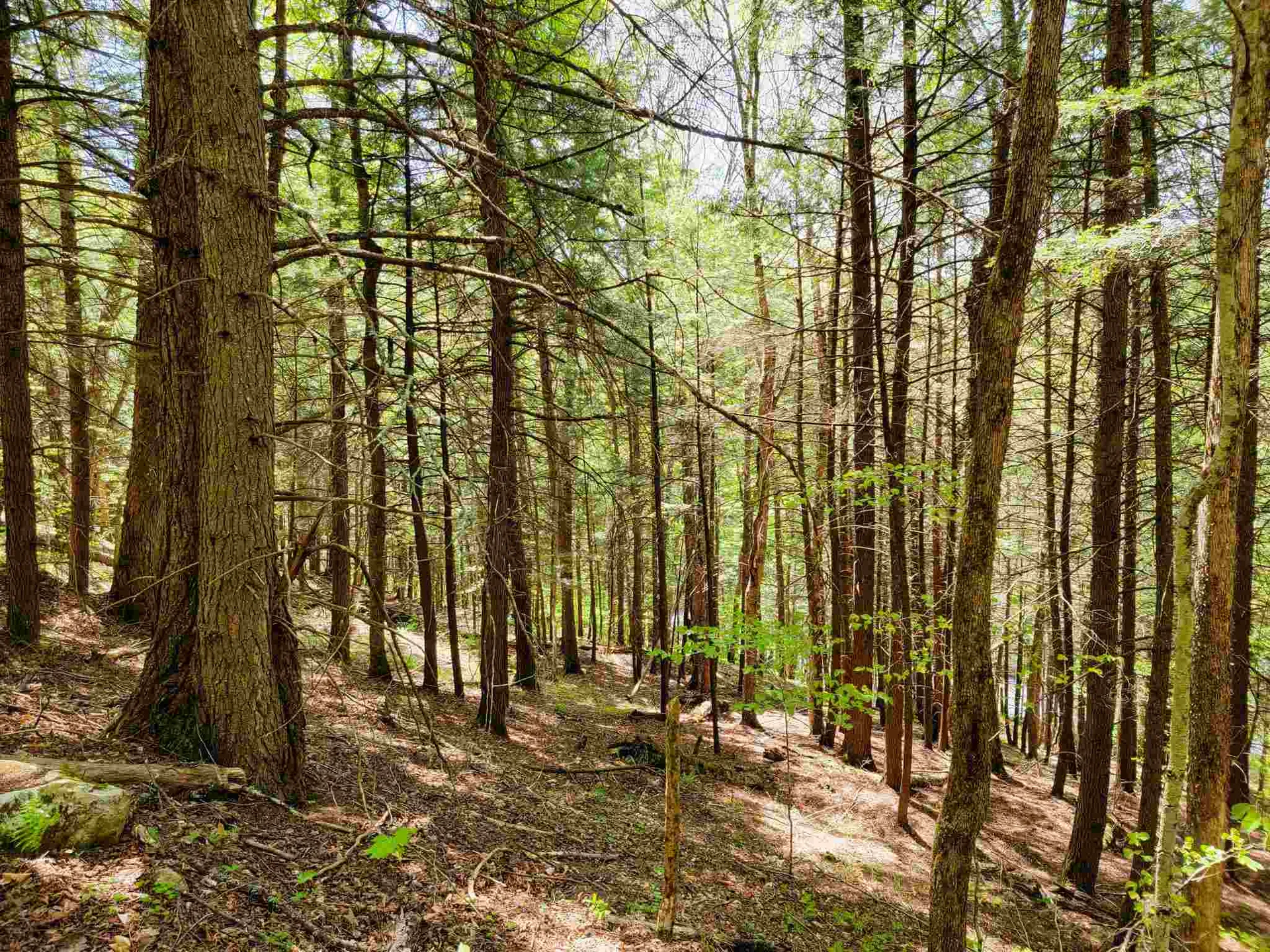12 Creamery Road Chelsea VT 05038