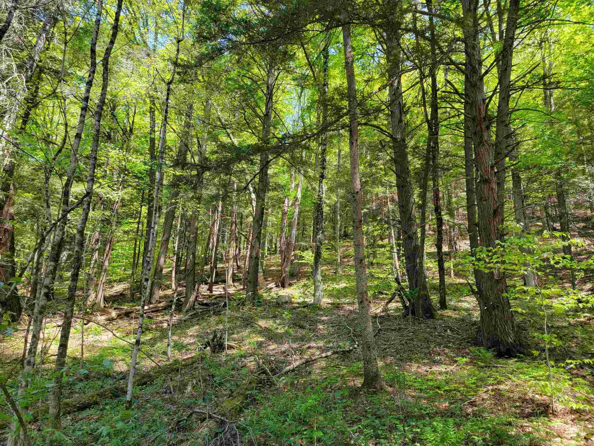 12 Creamery Road Chelsea VT 05038