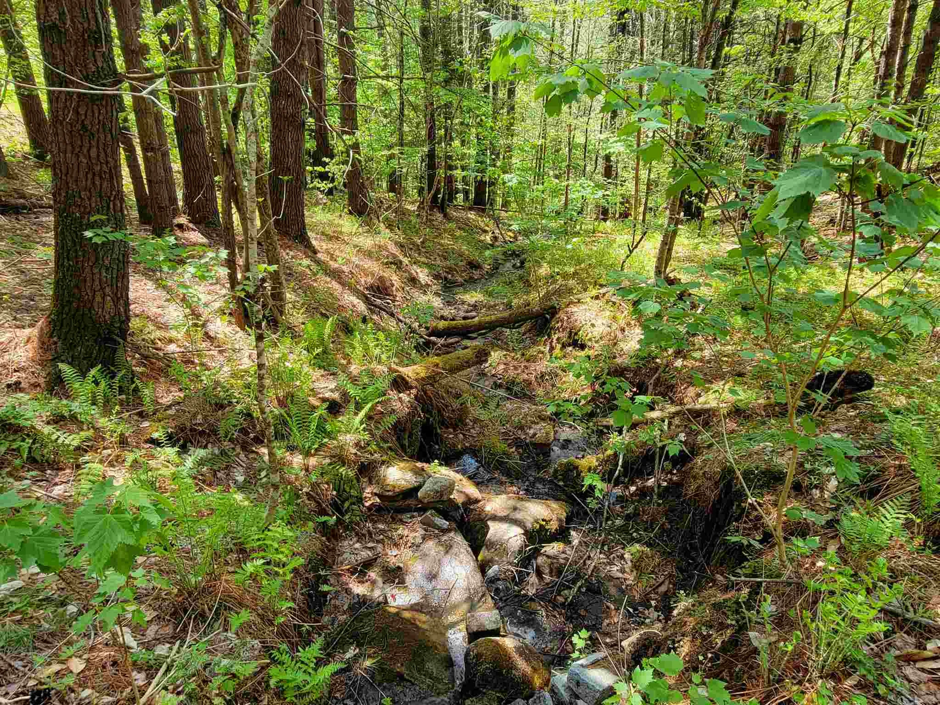 12 Creamery Road Chelsea VT 05038