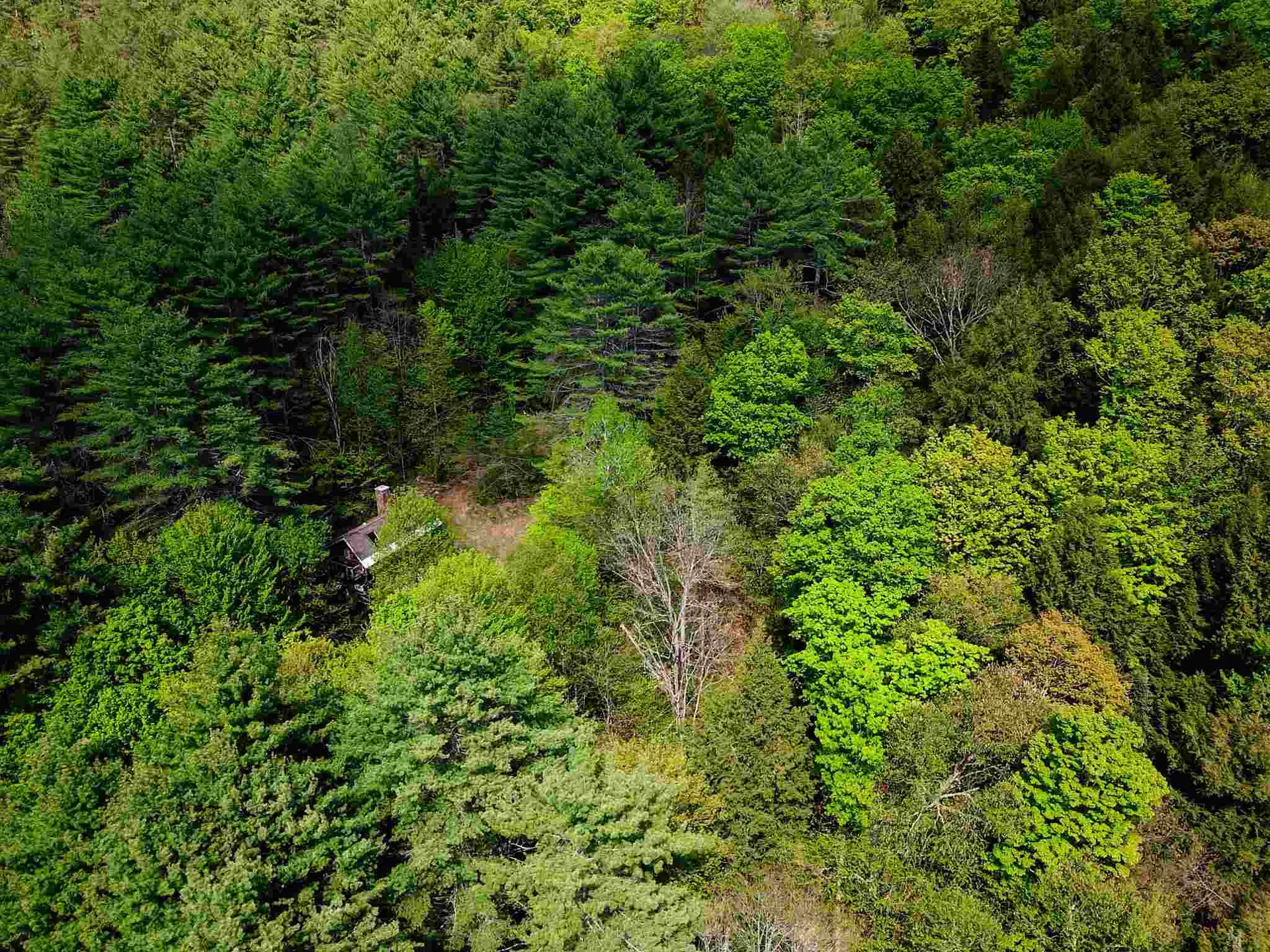 12 Creamery Road Chelsea VT 05038