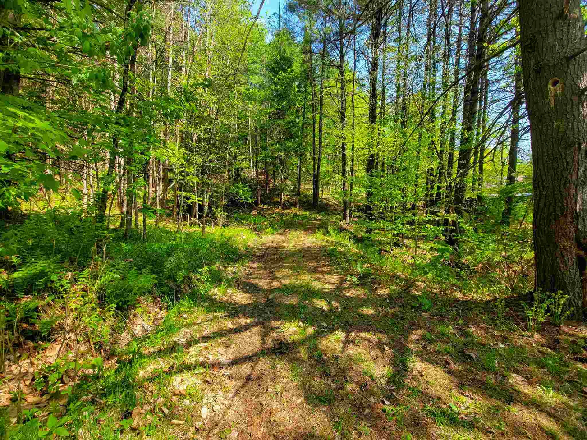 12 Creamery Road Chelsea VT 05038
