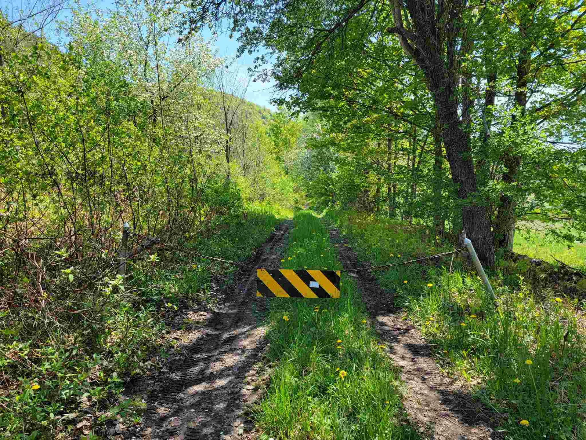 12 Creamery Road Chelsea VT 05038