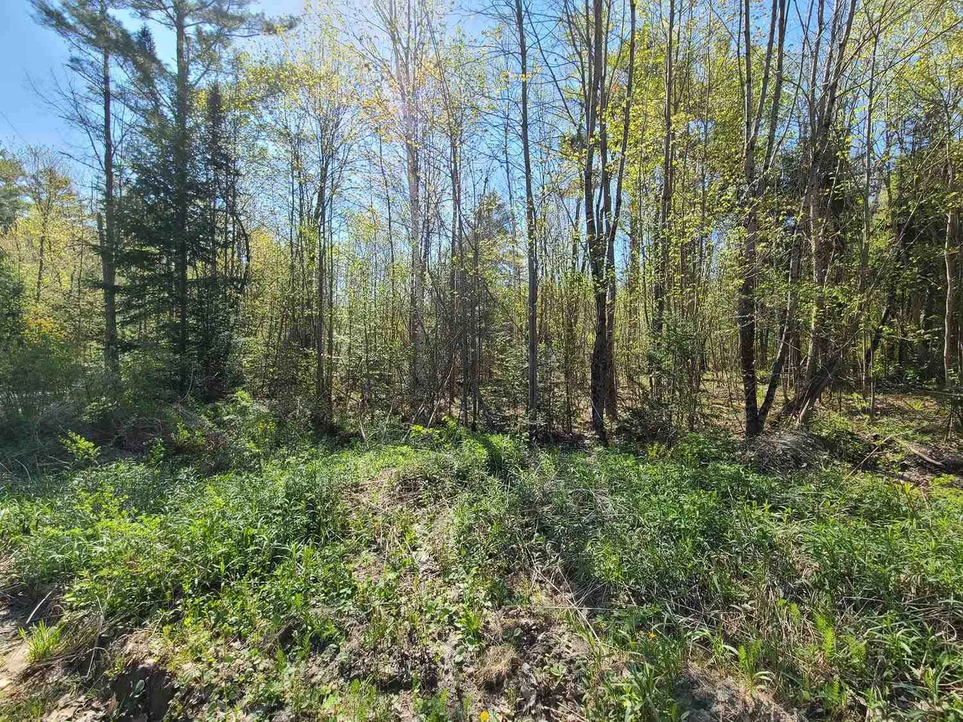 00 Goose Lane Haverhill NH 03765