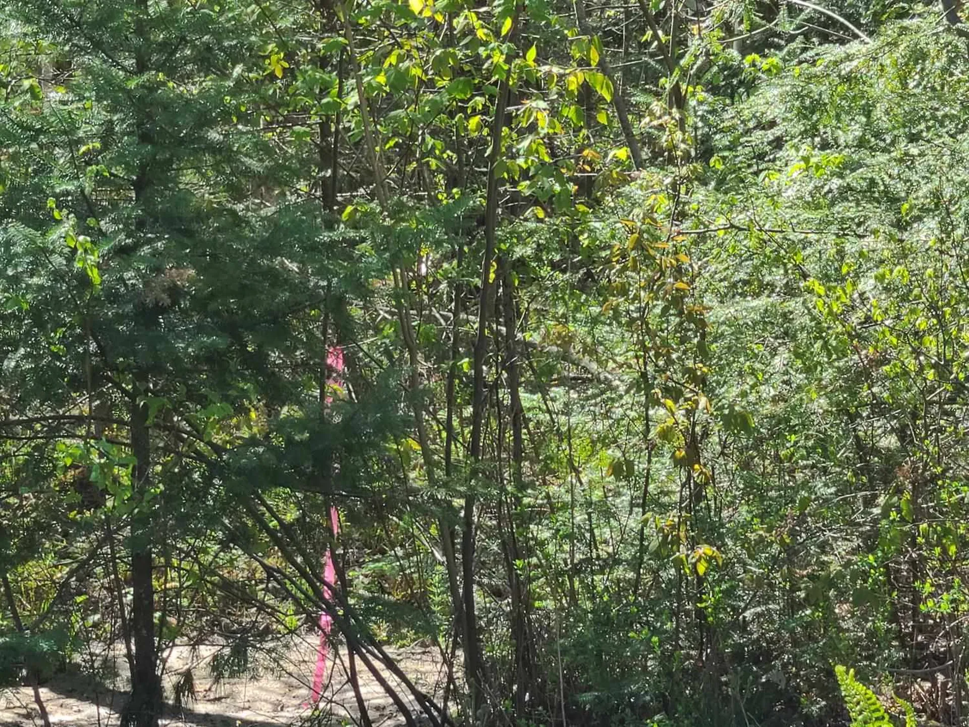 00 Goose Lane Haverhill NH 03765