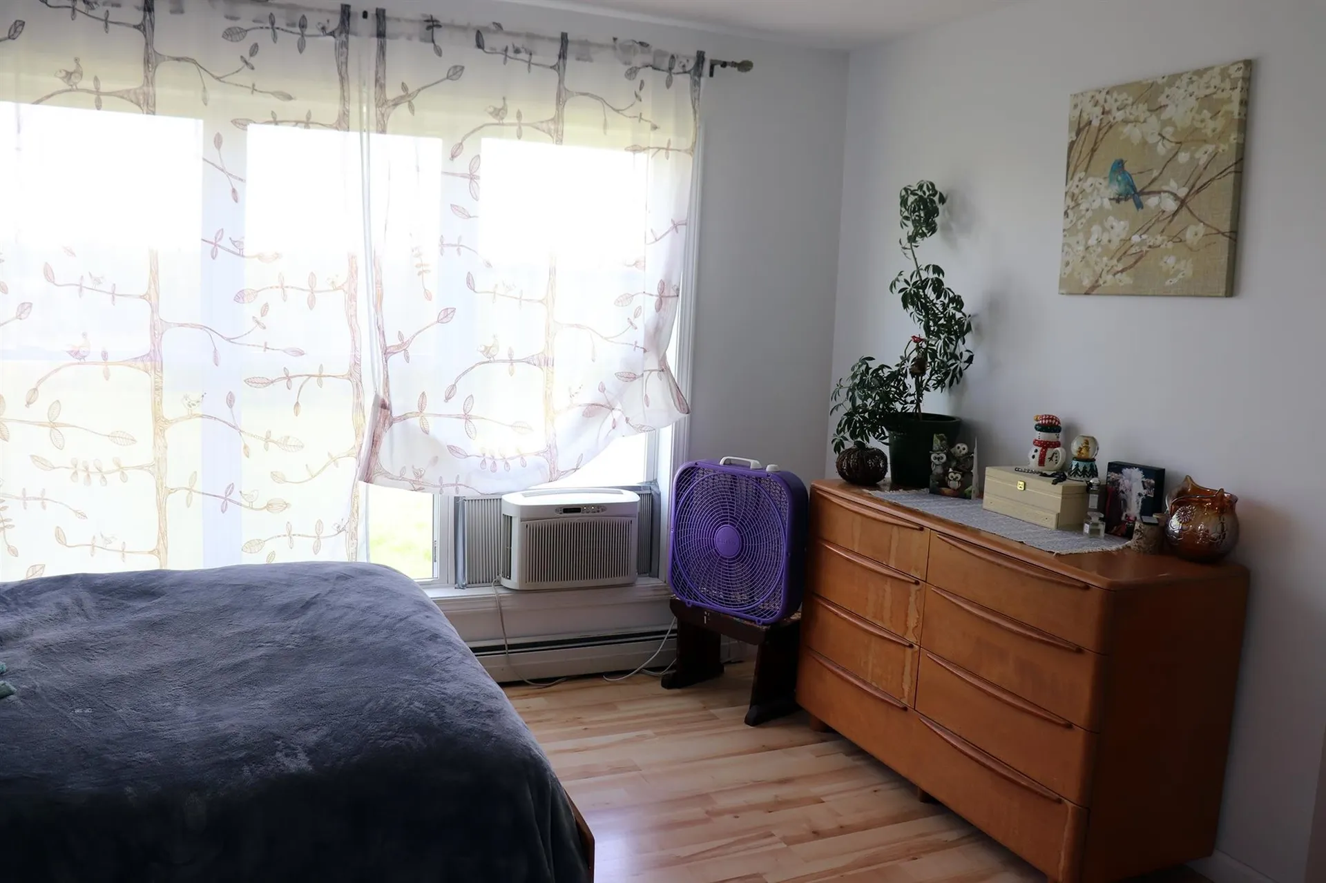 56 Memory Lane Wolcott VT 05680