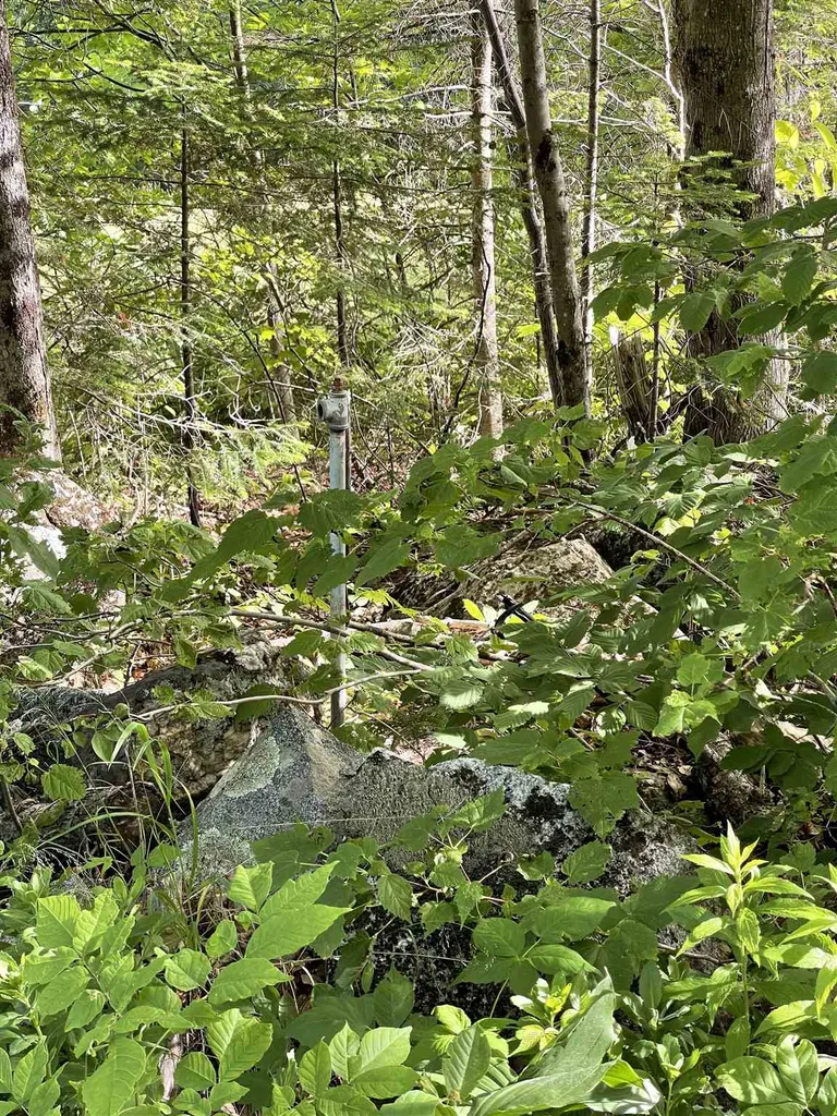 Pond Hill Road Lunenburg VT 05906