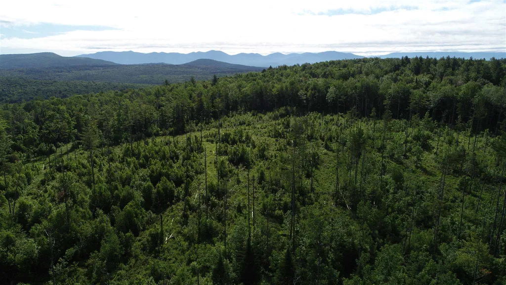 Pond Hill Road Lunenburg VT 05906