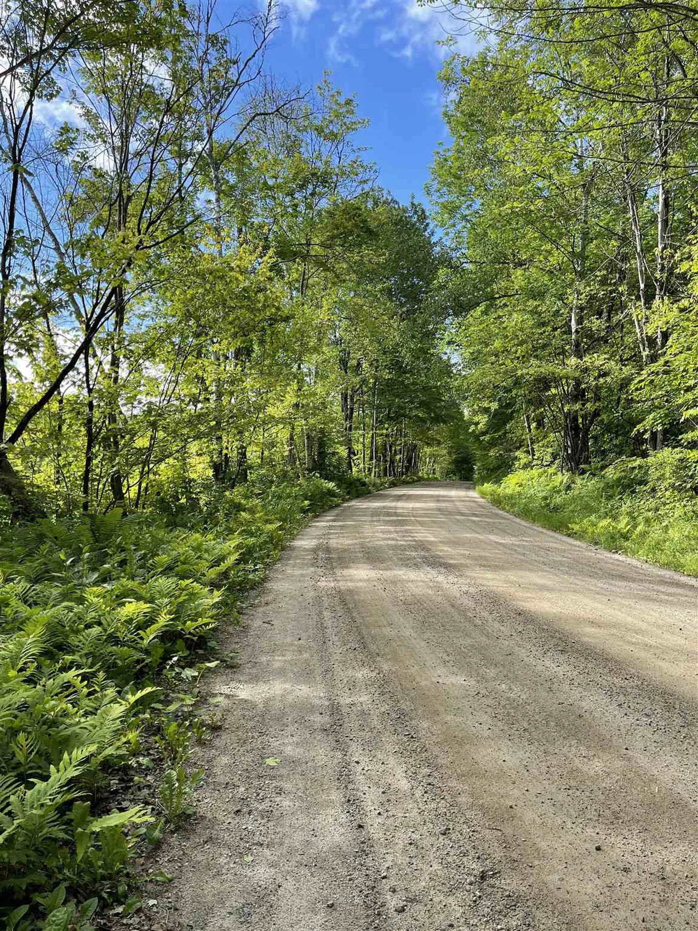 Pond Hill Road Lunenburg VT 05906