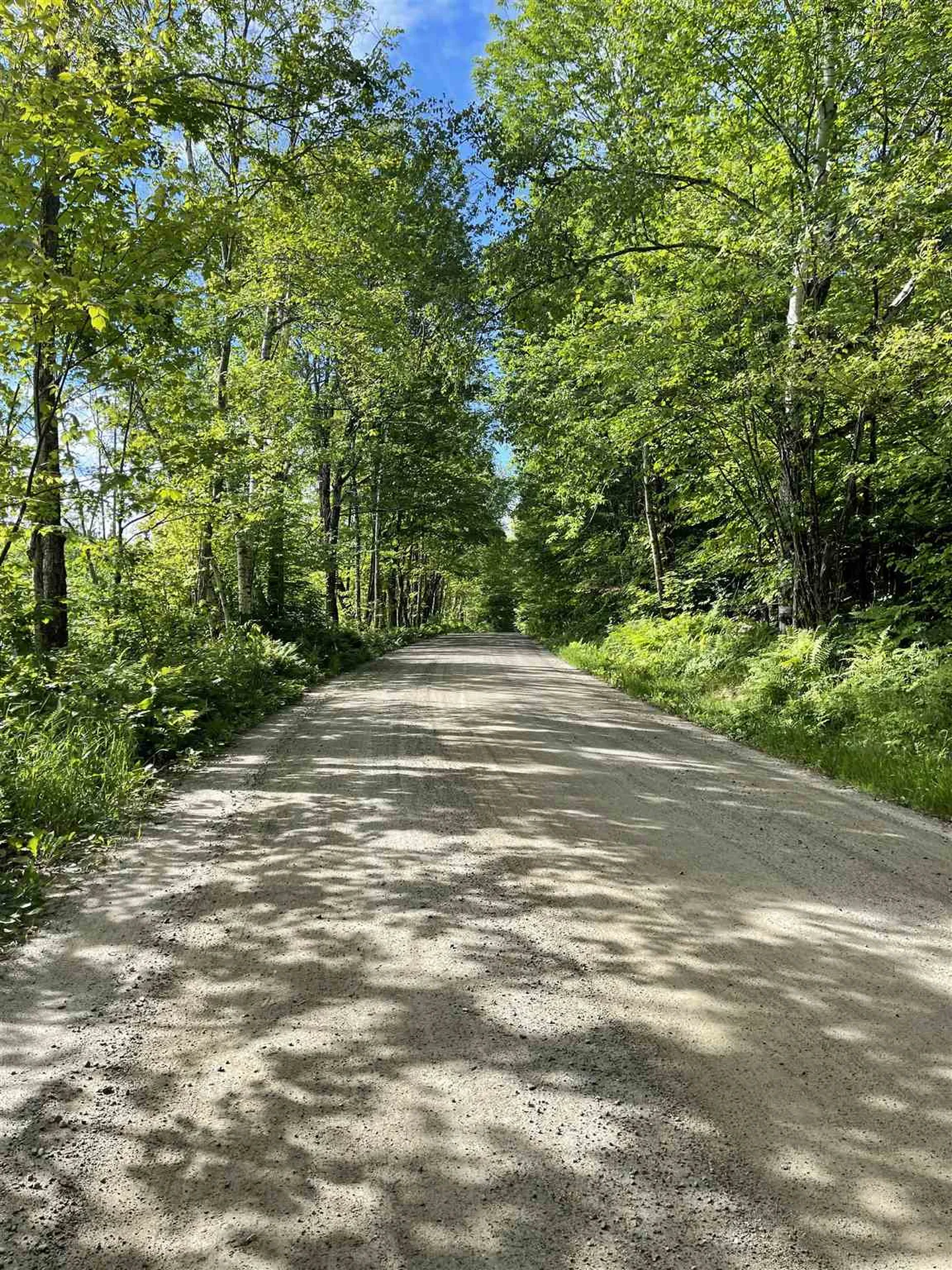 Pond Hill Road Lunenburg VT 05906