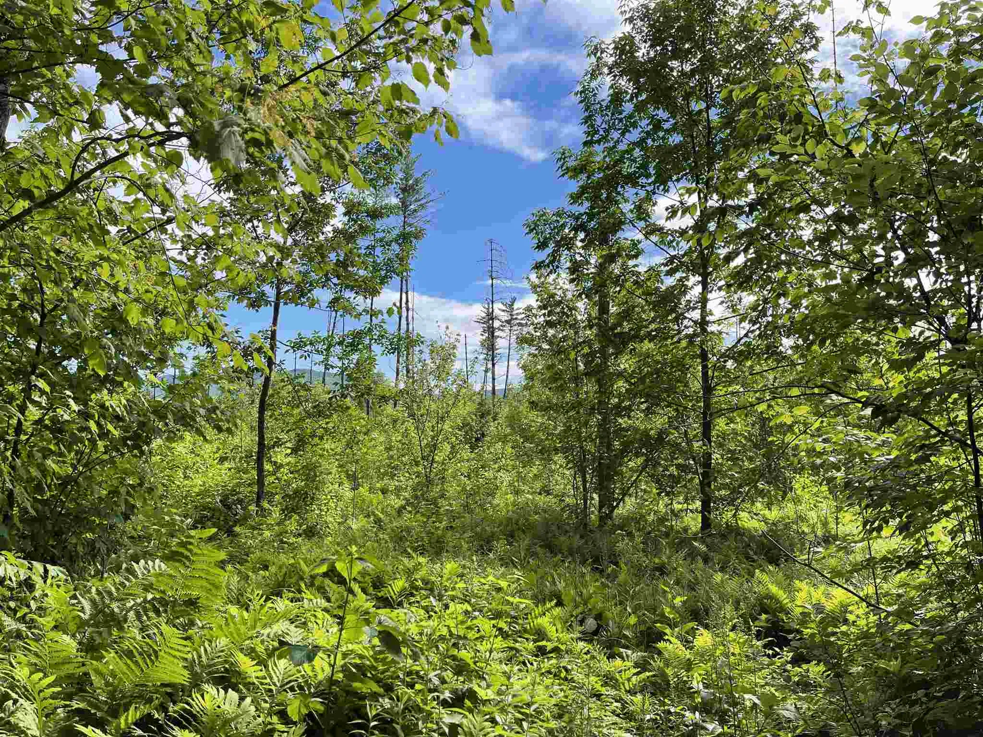 Pond Hill Road Lunenburg VT 05906