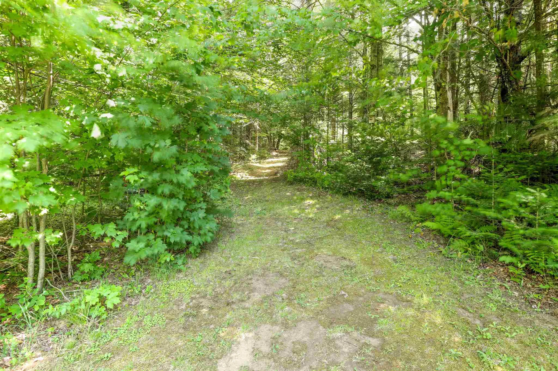1326 North Hyde Park Road Hyde Park VT 05655