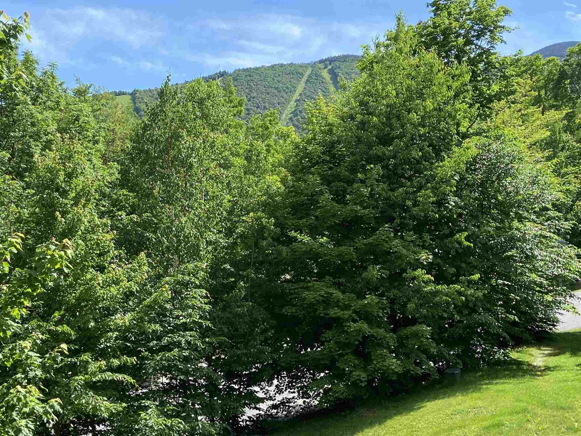 72 Trailside Drive Warren VT 05674