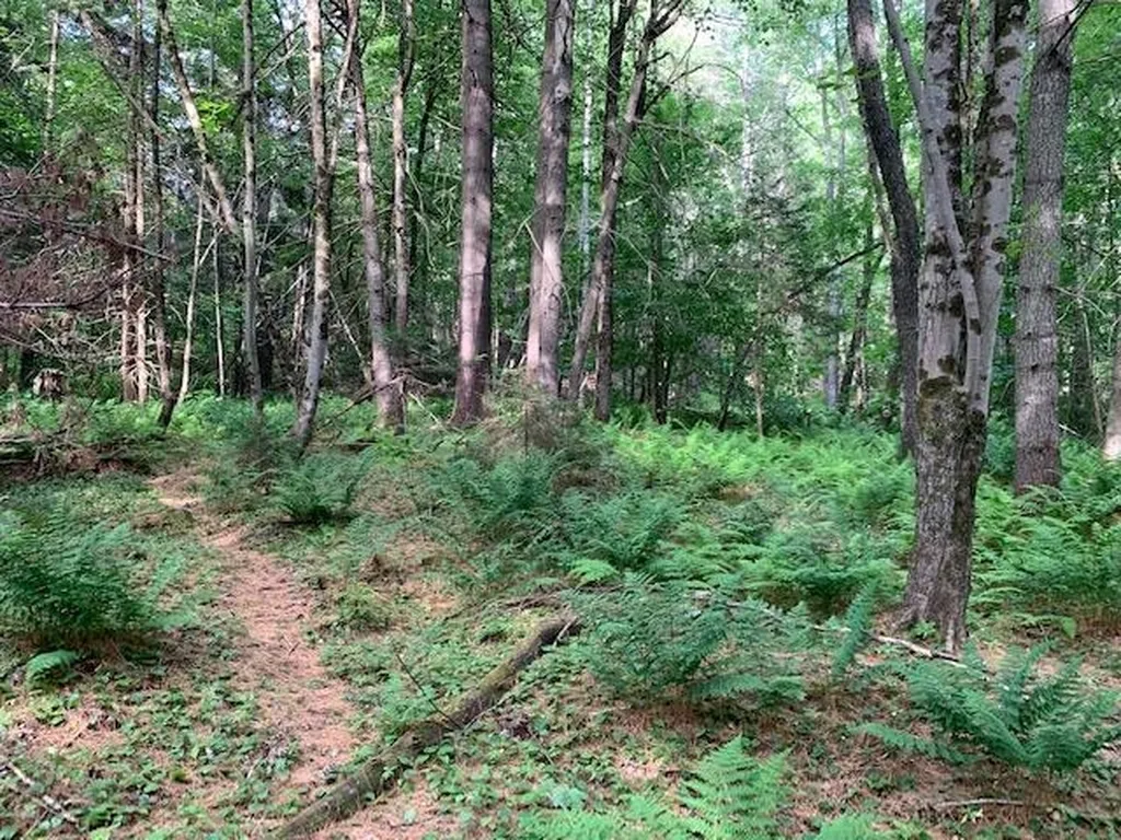 11 Old County West Road Landgrove VT 05148