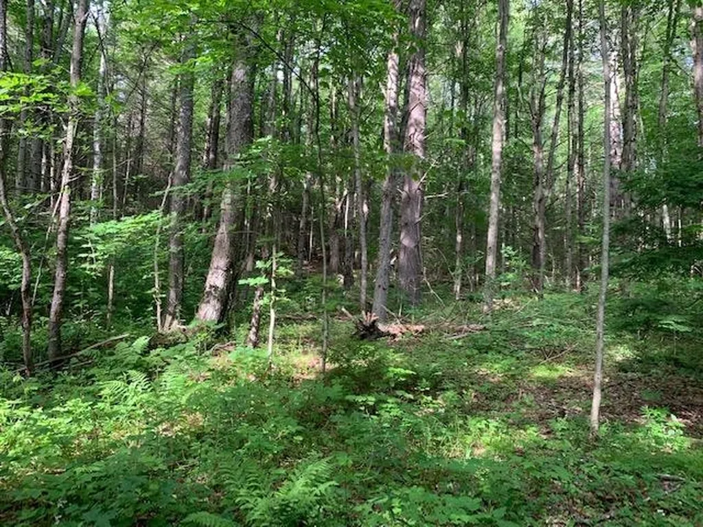 11 Old County West Road Landgrove VT 05148