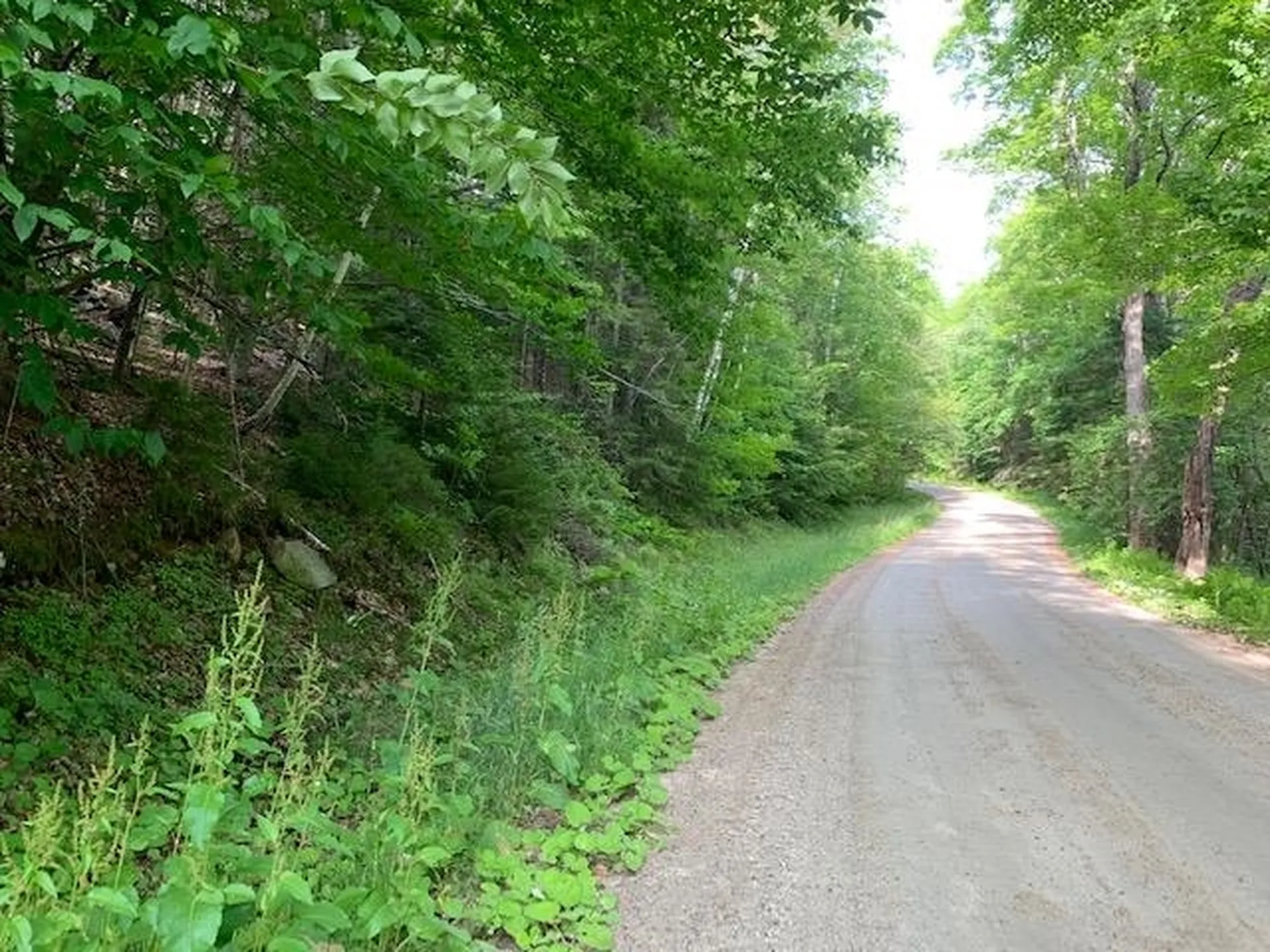 11 Old County West Road Landgrove VT 05148