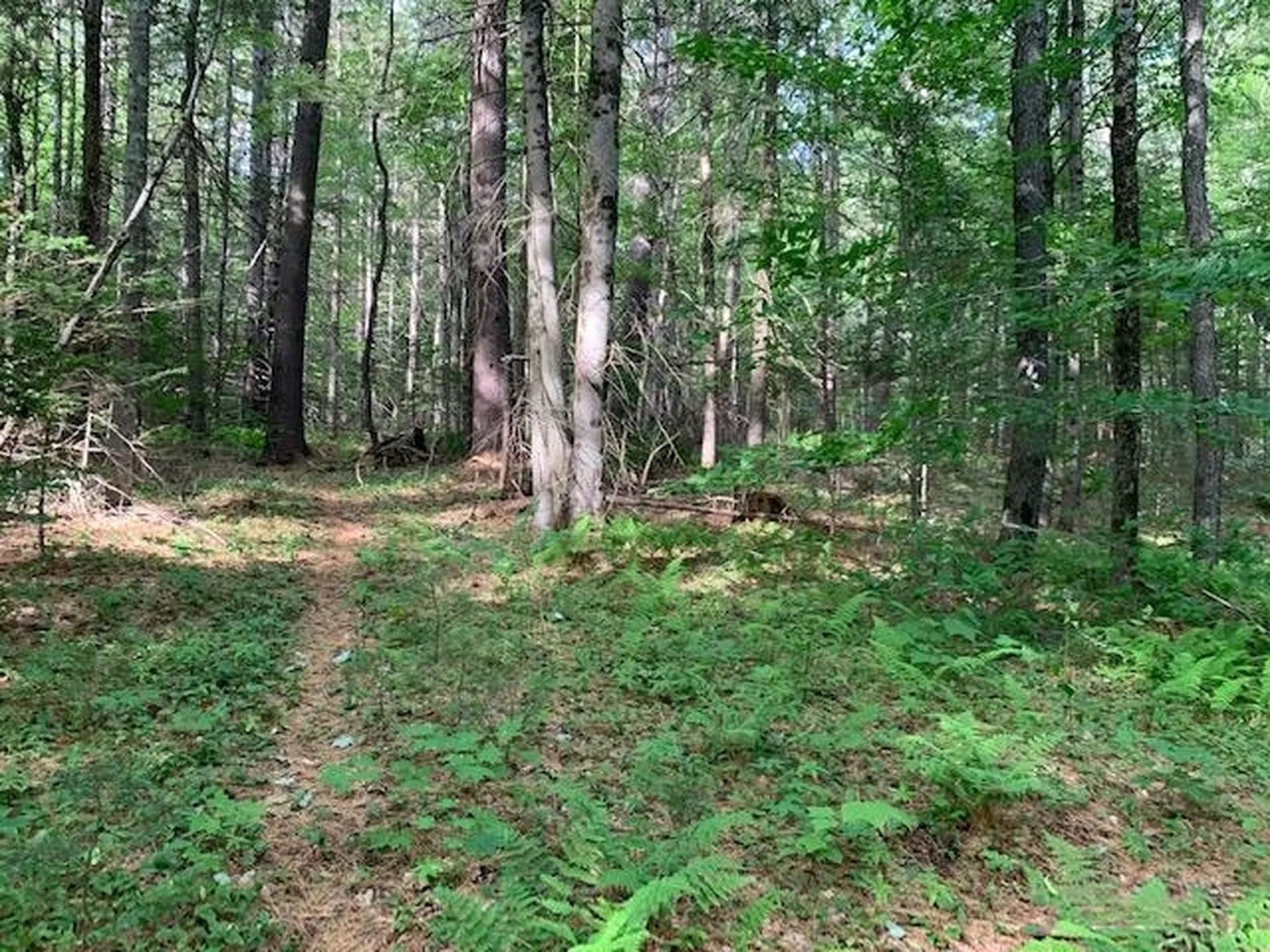11 Old County West Road Landgrove VT 05148