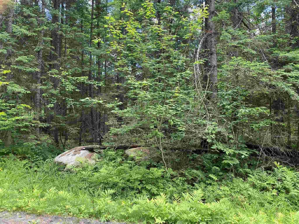 43 Longwood Drive Grantham NH 03753
