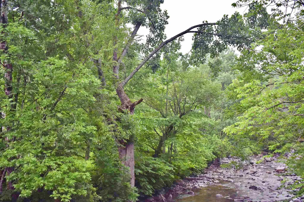 2763 Joes Brook Road Danville VT 05819