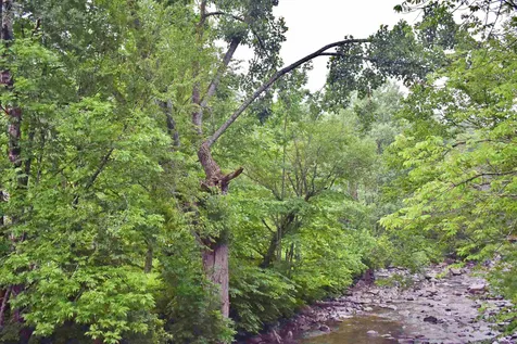 2763 Joes Brook Road Danville VT 05819